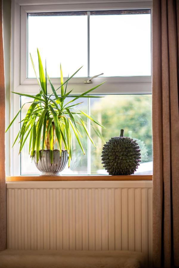 The Cedars Hotel Builth Wells Ngoại thất bức ảnh